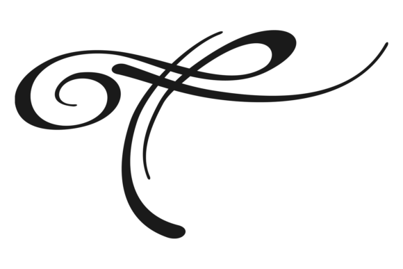 Download Calligraphic Swoosh Element. Ornate Divi - Graphic Collection