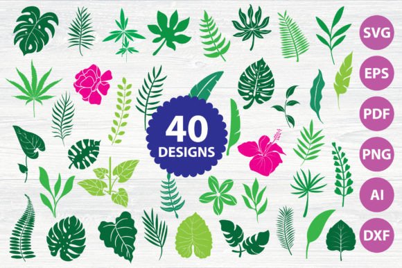 Download Monstera | Greenery | Tropical | Leaves - Greenery Collection